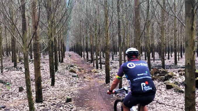 pecanwood oktoberfest